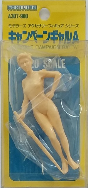 Modeler's A307-900 Packaging 