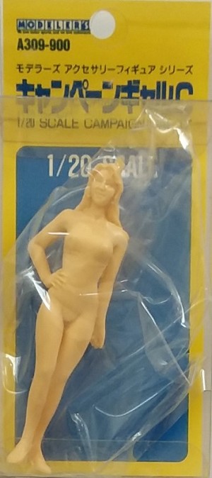 Modeler's A309-900 Packaging 